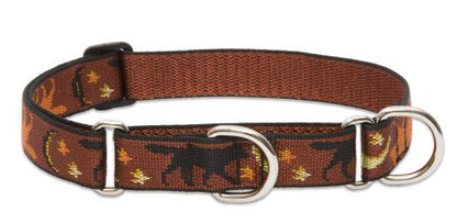 LupinePet Originals 1" Shadow Hunter 19-27" Martingale Collar for Large Dogs - size: 1"W; 19-27" Neck