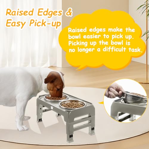 Elevated Dog Bowls 3 Height Adjustable Raised Bowl Stand with 25oz Stainless Steel Dog Food Bowls Anti-Slip for Small Dogs Adjusts to 7.5", 6", 2.75", Grey - color: Grey, size: Small dogs