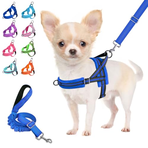 Lukovee No Pull Dog Harness and Leash Set, Soft Padded Small Dog Harness, Neck & Chest Adjustable Reflective Vest Puppy Harness with 4ft Lightweight Anti-Twist Dog Leash for Small Dogs (XS, Blue) - color: Blue, size: XS ( Chest 14'' ~ 18'')