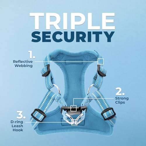Best Pet Supplies Voyager Adjustable Step-in Flex Breathable Mesh Dog Harness for Small Medium Large Dogs (Baby Blue), XS - color: Harness (Baby Blue), size: XS