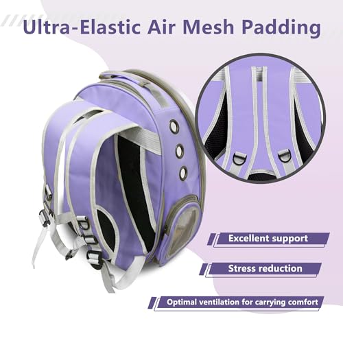 Expandable Cat Backpack Carrier, Breathable Clear Bubble Window Pet Carrier for Small Dogs and Cats up to 12 lbs, Airline Approved Travel Bag for Hiking and Outdoor Use (Back Expandable-Purple) - color: Purple