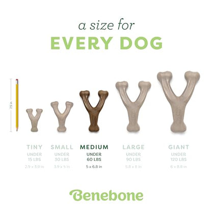 Benebone 2-Pack Wishbone Durable Dog Chew Toy for Aggressive Chewers, Real Bacon Made in USA, Medium - size: 2 Pack - Medium