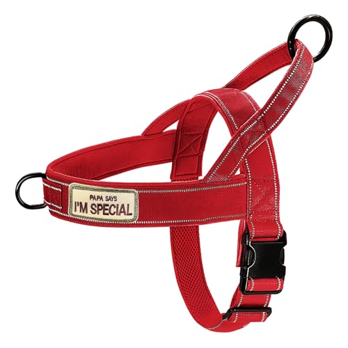 Red No Pull Dog Harness for Small Medium Large Sized Dog, Reflective Escape Proof Adjustable Dog Harnesses with 2 Patch, L - color: Red, size: L-Chest size 25-31''