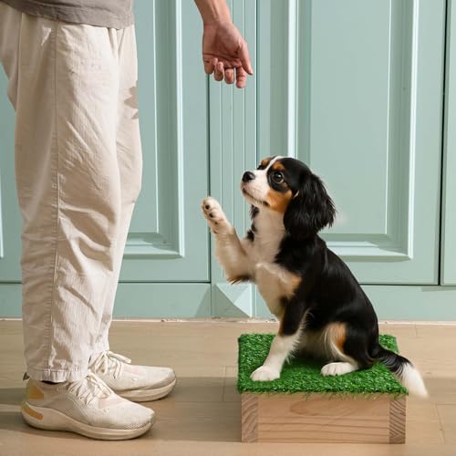 Dog Training Platform 11.81" Non Slip Pivot Box Place Board for Obedience, Hind Limb Awareness Practice Portable Place Board for Indoor Outdoor Use, Puppy to Medium Dogs Agility Training Equipment