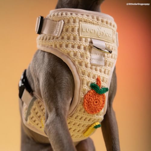 Lucy & Co. Main Squeeze Crochet No-Pull Dog Harness, Adjustable Front Clip Harness with Comfort Padding, X-Large - color: Main Squeeze, size: X-Large
