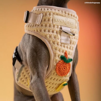 Lucy & Co. Main Squeeze Crochet No-Pull Dog Harness, Adjustable Front Clip Harness with Comfort Padding, X-Large - color: Main Squeeze, size: X-Large