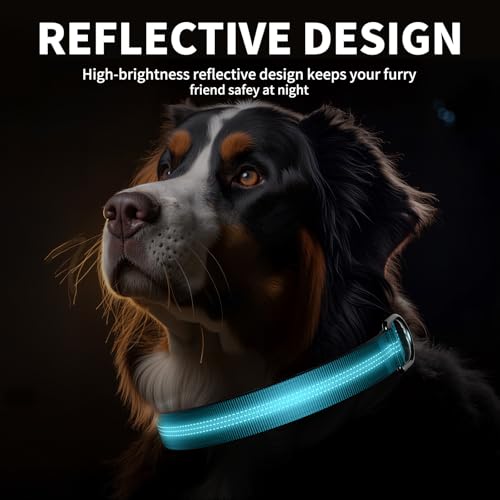 Reflective Dog Collar with Buckle, Heavy Duty Dog Collars with Soft Padded, Adjustable, Ultra-Durable, Pet Collar for Small Medium and Large Dogs (SkyBlue, L) - color: BLUE, size: L (18-26'')