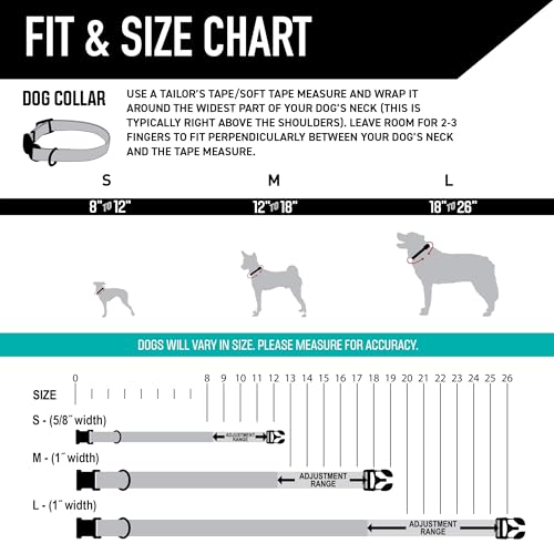 Wolfgang Heavy Duty, Adjustable Dog Collar with Quick Release Nylon Buckle for Walking & Training, LazyDaisy Print, Small - color: LazyDaisy Print, size: Small (5/8 Inch x 8-12 Inch)