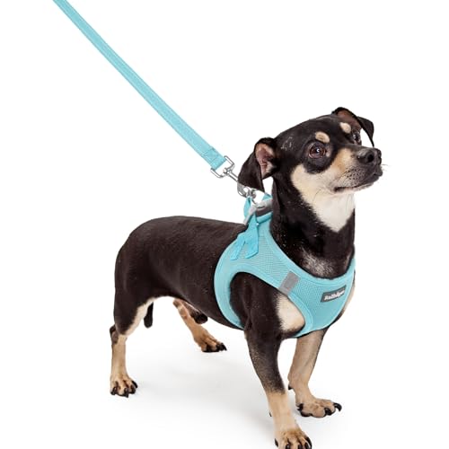 rabbitgoo Dog Harness Small Sized and Leash Set, Step in Soft Light Puppy Vest, Breathable Mesh Pet Harness, Reflective for Safe Easy Walking, Mint Blue XXXS - color: Mint Blue, size: Xxxs (chest: 10.8 - 11.8")