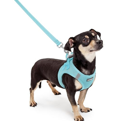 rabbitgoo Dog Harness Small Sized and Leash Set, Step in Soft Light Puppy Vest, Breathable Mesh Pet Harness, Reflective for Safe Easy Walking, Mint Blue XXXS - color: Mint Blue, size: Xxxs (chest: 10.8 - 11.8")
