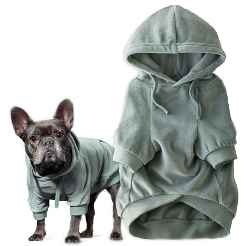 Pet Passion Cooper II Organic Cotton Velour Dog Hoodie Pet Coat for Small, Medium and Large Dogs, Sage, X-Small (5-12 lbs) - color: Sage, size: X-Small (5-12 lbs)