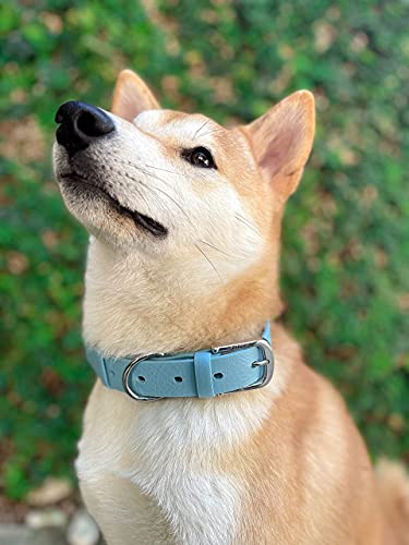Tuff Pupper Classic Heavy Duty Dog Collar | 10x Stronger Than Leather | 100% Waterproof & Odor Proof Dog Collar | Tough Rust-Proof All Metal Hardware - color: Sky Blue