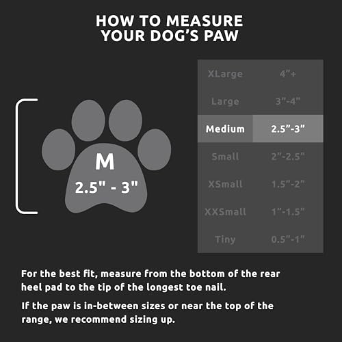 PawZ Rubber Dog Boots for Medium Paws - All-Weather Waterproof Dog Shoes, Anti-Slip Traction for Rain, Snow, Mud & Hot Pavement - Pull-On Dog Booties, Black - Medium (2.5" - 3") - Pack of 24 - size: M