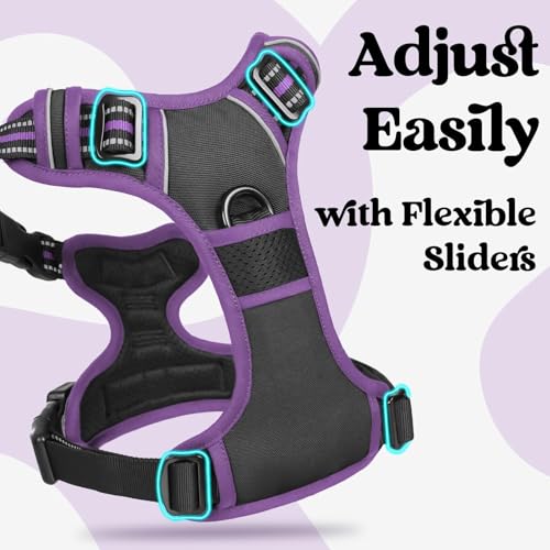 rabbitgoo Dog Harness Small Sized, No Pull Easy On & Off with 3 Buckles Pet Harness, Adjustable Soft Walking Vest with 2 Clips and Handle, Reflective for Small Dogs, Black & Purple, S - color: Black & Purple, size: Small