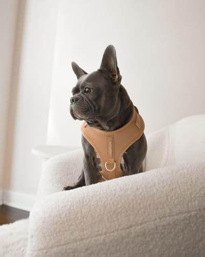 Premium No-Pull Dog Harness Soft Neoprene & Breathable Mesh Vest with Front & Back Clip D-Rings Adjustable Lightweight Walking Harness for Puppies, Small & Medium Dogs (Beige, XXS) - color: Beige, size: XXS: Neck=9.1-13'', Chest=10.6-14.6''