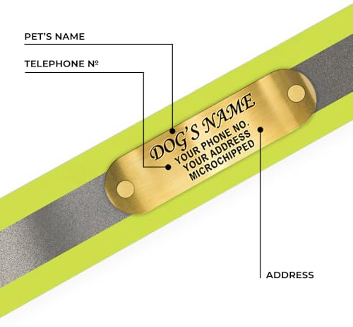 Regal Dog Products Small Yellow Reflective Dog Collar with Custom Engraved Name Plate and Heavy Duty Center Ring | Waterproof Biothane Personalized Dog Collars - Other Sizes for Medium & Large Dogs - color: Yellow, size: Small