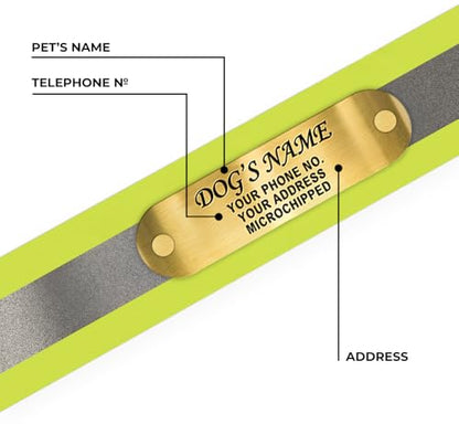 Regal Dog Products Small Yellow Reflective Dog Collar with Custom Engraved Name Plate and Heavy Duty Center Ring | Waterproof Biothane Personalized Dog Collars - Other Sizes for Medium & Large Dogs - color: Yellow, size: Small