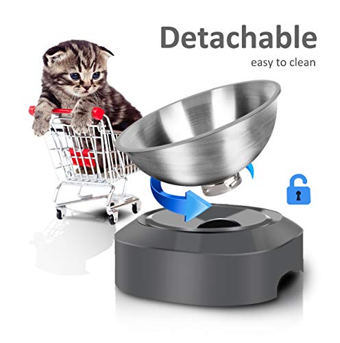 AYADA Raised Cat Food Bowl, Stainless Steel Cat Dish for Dry Wet Food Water, Anti Vomiting Elevated with Stand Ergonomic Lifted Slanted Tilted 15 Angle Metal Single Kitty Kitten Pet Bowl (Single) - color: Single