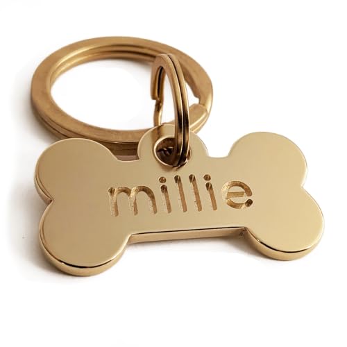 Solid Brass PET TAG - Modern, Minimal Pet IDs. Durable, Lifetime Tags with deep Cut Text. Includes Space for Two Phone Numbers. (Bone) - style: Bone