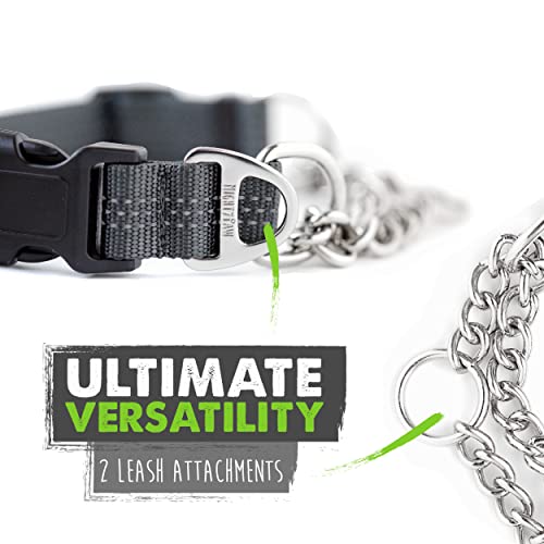 Mighty Paw Martingale Dog Collar 2.0 | Trainer Approved Limited Slip Collar with Stainless Steel Chain & Heavy Duty Buckle - Modified Cinch Collar for Gentle & Effective Pet Training - Medium, Grey - color: Grey, size: Medium