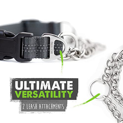 Mighty Paw Martingale Dog Collar 2.0 | Trainer Approved Limited Slip Collar with Stainless Steel Chain & Heavy Duty Buckle - Modified Cinch Collar for Gentle & Effective Pet Training - Medium, Grey - color: Grey, size: Medium