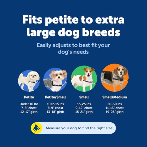 PetSafe Easy Walk No-Pull Dog Harness - Ultimate Harness to Help Stop Pulling - Pull-Free Walks - Take Control & Teach Better Leash Manners - Patented Martingale Loop Design - Royal Blue, Small - color: Royal Blue/Navy Blue, size: Small
