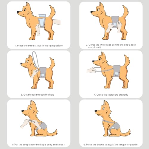 Idepet Belly Bands for Male Dogs with Suspender Detachable, 3 Pack Male Dog Belly Bands Washable Doggie Boy Diapers Reusable Male Pee Wraps for Small Medium Dog M - size: Medium