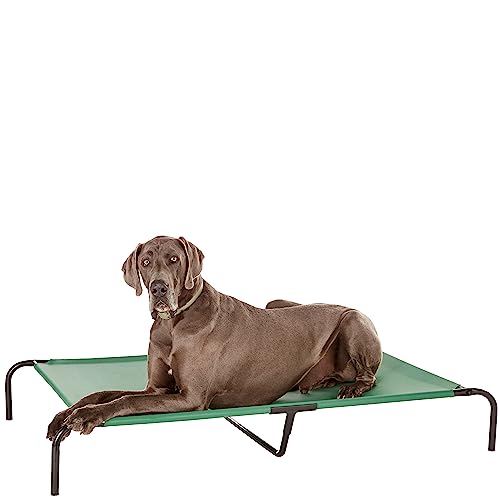 Amazon Basics Cooling Breathable Elevated Dog Bed with Durable Metal Frame for Large Dogs, X-Large, 60 x 37 x 9 Inch, Green, Easy to Clean - color: Green, size: X-Large