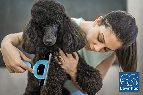 Cat & Dog Brush for Shedding – 95% Shedding Reduction for Cleaner Homes & Happier Pets – Removable Stainless Steel Comb w/Comfort Grip Handle – Deshedding Tools for Cats & Dogs w/Dense Coats - size: Grooming Brush