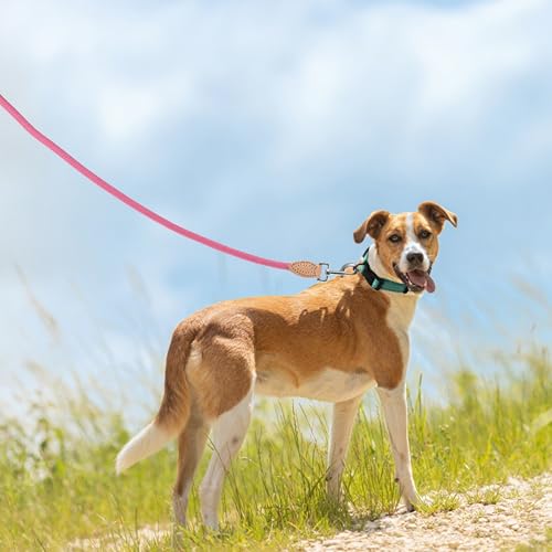 Mile High Life Dog Leash, Rope Leash with Genuine Leather Connection and Heavy Duty Metal Clasp, Great for Small Medium Large Dogs(Bright Pink,48 Inch) - color: Rope Handle-Bright Pink, size: 48 Inch-1/2"