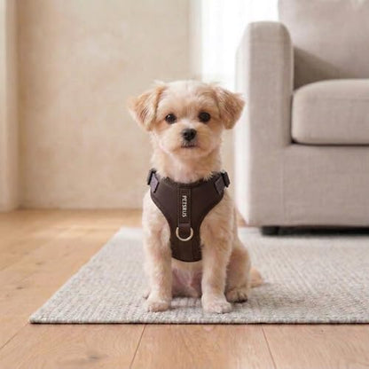 Premium No-Pull Dog Harness Soft Neoprene & Breathable Mesh Vest with Front & Back Clip D-Rings Adjustable Lightweight Walking Harness for Puppies, Small & Medium Dogs (Dark Chocolate Brown, XS) - color: Dark Chocolate Brown, size: XS: Neck 10.6-14.2'', C