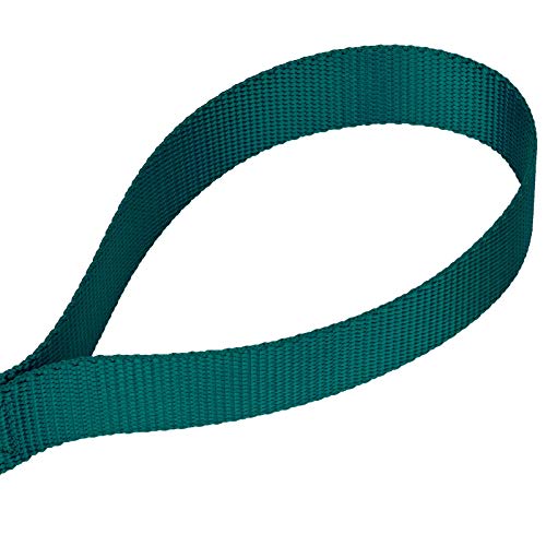 Country Brook Petz - Vibrant 17 Color Selection - Heavyduty Doublehandle Nylon Leash (6 Foot, 3/4 Inch Wide, Teal) - color: Teal
