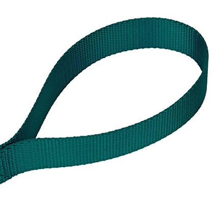 Country Brook Petz - Vibrant 17 Color Selection - Heavyduty Doublehandle Nylon Leash (6 Foot, 3/4 Inch Wide, Teal) - color: Teal