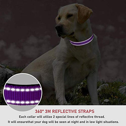 Reflective Dog Collar with Buckle Adjustable Safety Nylon Collars for Small Medium Large Dogs, Purple S - color: Purple, size: Small :Width 5/8",Neck 10-14"