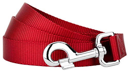 Country Brook Petz - Vibrant 17 Color Selection - Heavyduty Doublehandle Nylon Leash (6 Foot, 3/4 Inch Wide, Red) - color: Red