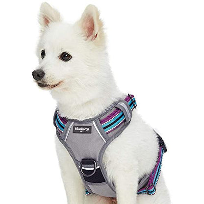 Blueberry Pet Dog Harness Soft & Comfy 3M Reflective Dog Harness Medium Sized Dog - color: Violet and Celeste, size: Small