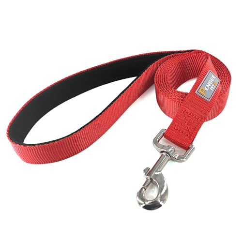 Basic Dog Leashes 6 FT Padded Handle Nylon Dogs Leashes for Small Dogs Red - color: Red, size: Small : 5/8" x 6 FT