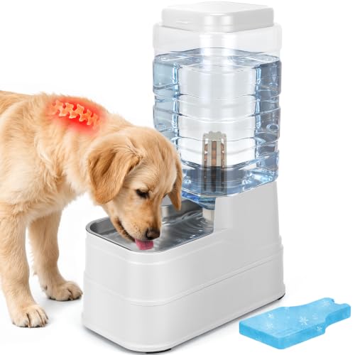 2.2 Gallon Pet Automatic Dog Water Dispenser Cat Gravity Waterer Feeder with Stainless Steel Bowl Large Capacity Puppy Feeding Raised Bowls with Filter,Ice Pack (White, 8L(2.2 Gallon)) - color: White, size: 8L(2.2 Gallon)