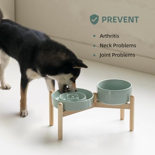 Havniva 7.3” Raised Slow Feeder Dog Bowls Set, 1.2 Cups Ceramic Slow Feeder Dog Bowl and 6.1” Dog Water Bowl with Elevated Wooden Stand Puzzle Dog Food Bowl for Small Dogs Anti-Gulping & Anti-Choking - color: 2 x Light Green+Stand-A, size: 7.3inch