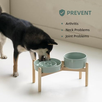 Havniva 7.3” Raised Slow Feeder Dog Bowls Set, 1.2 Cups Ceramic Slow Feeder Dog Bowl and 6.1” Dog Water Bowl with Elevated Wooden Stand Puzzle Dog Food Bowl for Small Dogs Anti-Gulping & Anti-Choking - color: 2 x Light Green+Stand-A, size: 7.3inch