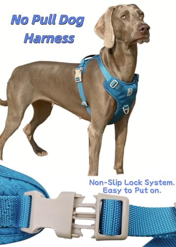No Pull Dog Harness Front Clip Heavy Duty Reflective Easy Control Handle for Large Dog (Blue, XL) - color: Blue, size: XL