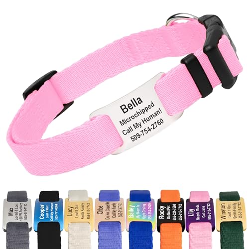 GoTags Personalized Dog Collar with Nameplate, Adjustable Dog Collar with Custom Engraved Steel Slide On Pet ID Tag, Silent, No Noise Dog Tag 66 Color Options (Classic, X-Small) - color: Classic, size: X-Small (Pack of 1)