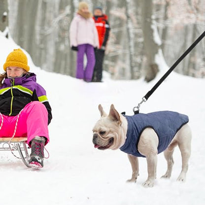 SCENEREAL Winter Dog Vest Coat with Built-in Harness, Warm Puppy Jacket for Small to Medium Dogs, Cold Weather Coat with Zipper, Fleece Puffer Vest Windproof Snow Clothes - color: #1 Rolay Bule-Matte, size: L(Chest 19")-Regular