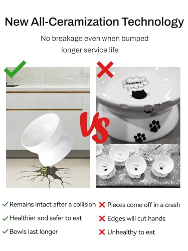 ABRUTY Cat Water Bowl, 16 OZ Ceramic Elevated Cat Bowls, 15° Tilted and Raised Pet Food Dish, Anti Vomiting Protect Pets' Spines and Whisker Fatigue - color: White, size: 1 Pack