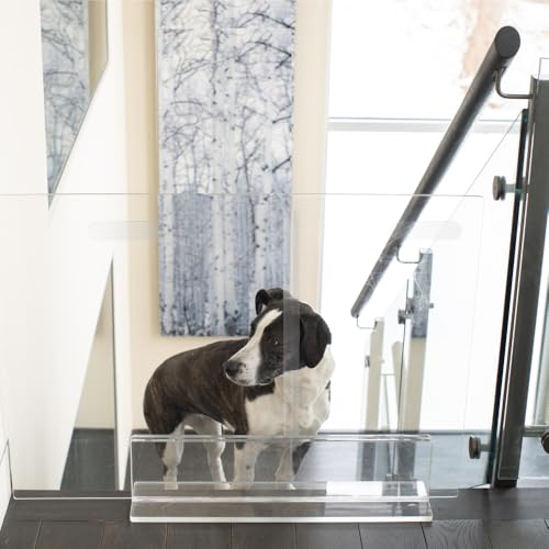 Hiddin Low Clear Freestanding Pet Gate – 36 Inch Wide Modern Acrylic Dog & Cat Barrier Panel – Transparent No-Installation Indoor Pet Fence for All Spaces – Stylish Home Safety Solution - size: 36" Width