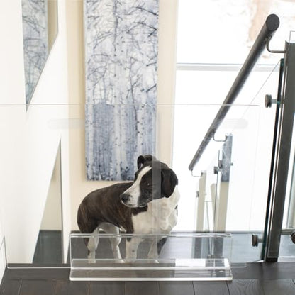 Hiddin Low Clear Freestanding Pet Gate – 36 Inch Wide Modern Acrylic Dog & Cat Barrier Panel – Transparent No-Installation Indoor Pet Fence for All Spaces – Stylish Home Safety Solution - size: 36" Width
