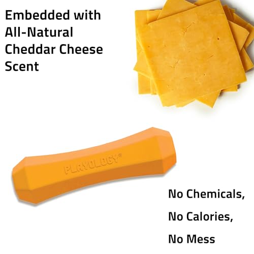 Playology Dog Toys | Squeaky Chew Stick for Dogs | Cheddar Cheese Scented Medium Fetch Toy | Squeaky Dog Chew Toy - size: Medium, style: Cheddar Cheese