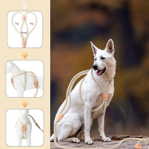 Mile High Life Harness Lead No Pull, All in one Dog Lead 2-in-1, Rope Leash and Harness Two in One, Slip Leash for Puppy Small Dogs Training, 4FT White - color: 4 feet-White