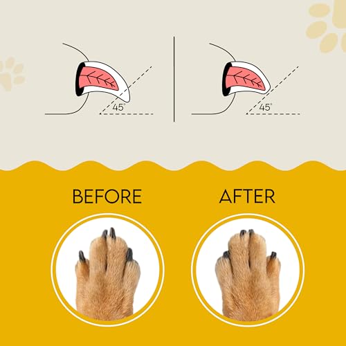 Dog Nail File, Cat Nail File, Dog Nail File Board - Stress-Free Nail Filing for Dogs, Nail File for Dogs, Dog Scratch Pad for Nails, Handle Made from 100% Real Wood - color: Brown