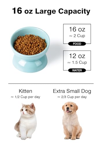 ABRUTY Cat Water Bowl, 16 OZ Ceramic Elevated Cat Bowls, 15° Tilted and Raised Pet Food Dish, Anti Vomiting Protect Pets' Spines and Whisker Fatigue, Turquoise - color: Turquoise, size: 1 Pack